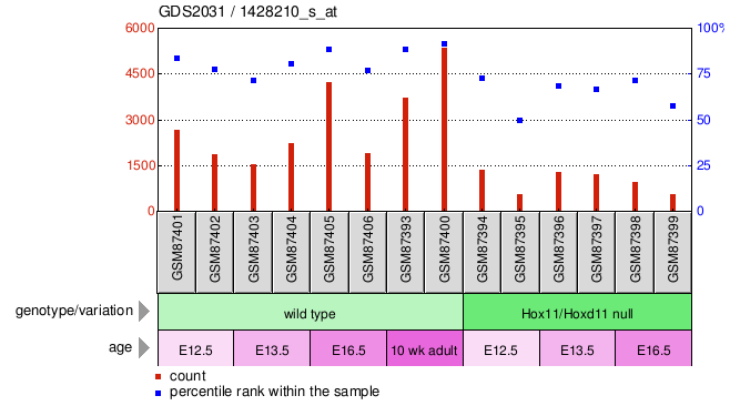 Gene Expression Profile