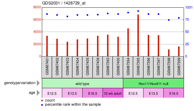 Gene Expression Profile