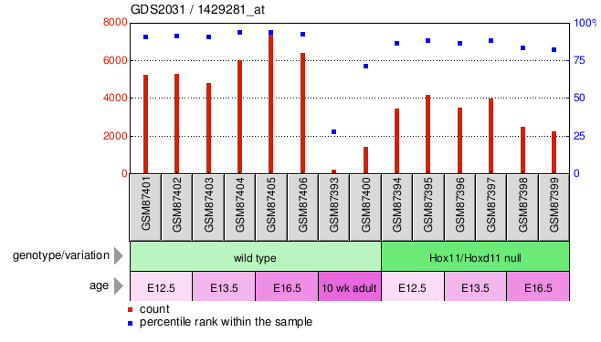 Gene Expression Profile