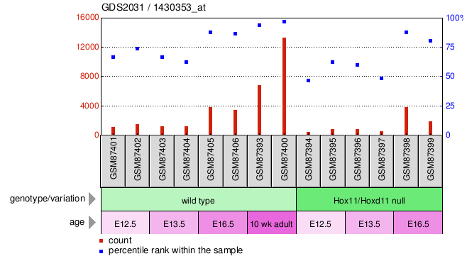 Gene Expression Profile