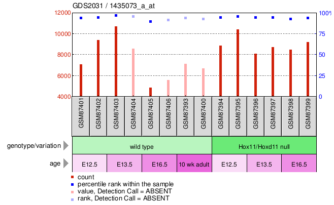 Gene Expression Profile