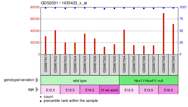 Gene Expression Profile