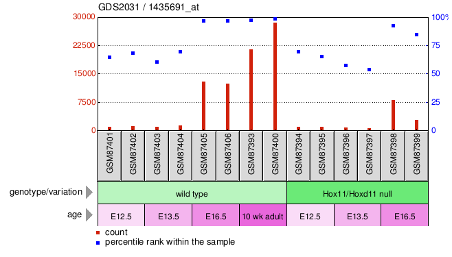 Gene Expression Profile