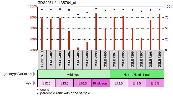 Gene Expression Profile