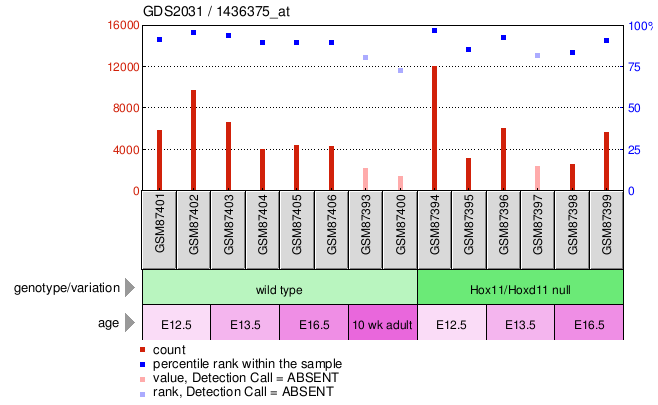 Gene Expression Profile