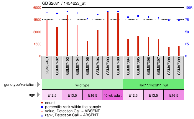 Gene Expression Profile