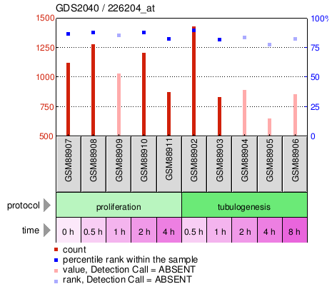 Gene Expression Profile