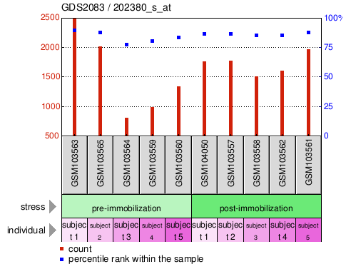 Gene Expression Profile