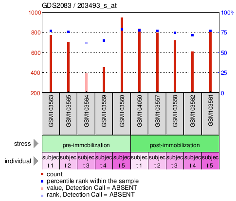 Gene Expression Profile