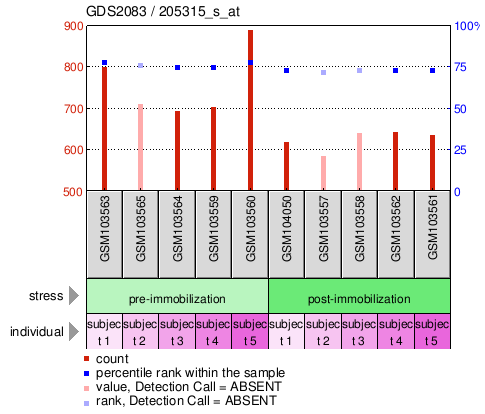 Gene Expression Profile