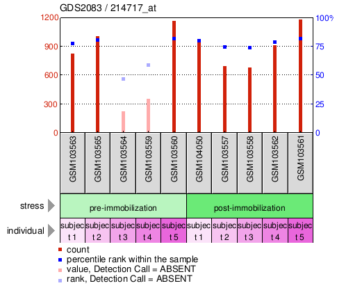 Gene Expression Profile