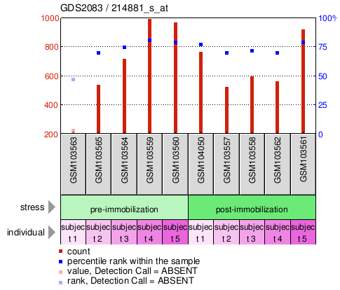 Gene Expression Profile