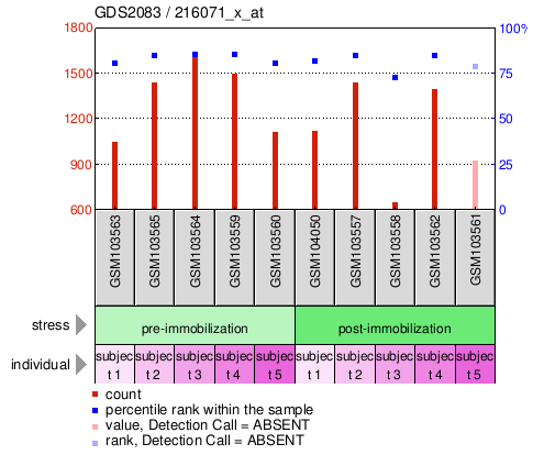 Gene Expression Profile