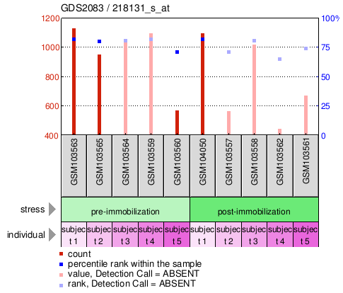 Gene Expression Profile