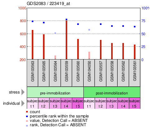 Gene Expression Profile