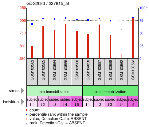 Gene Expression Profile