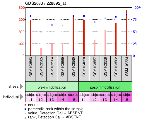 Gene Expression Profile