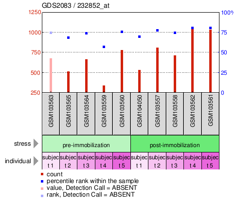 Gene Expression Profile