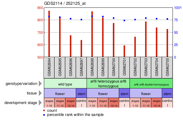 Gene Expression Profile