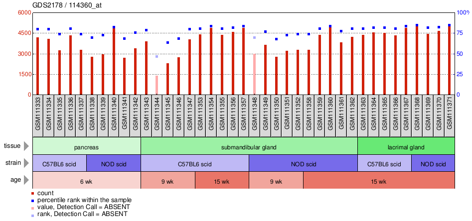 Gene Expression Profile