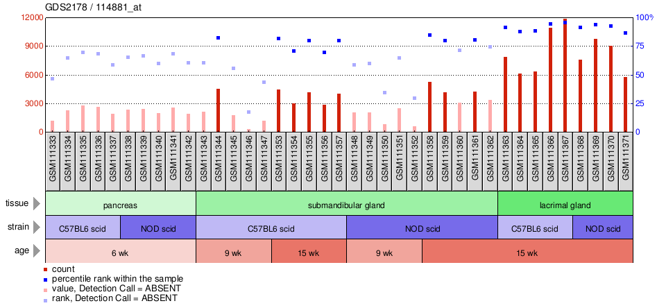 Gene Expression Profile