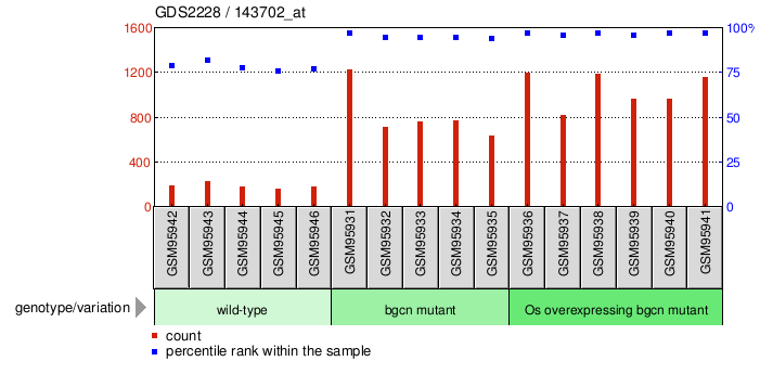 Gene Expression Profile