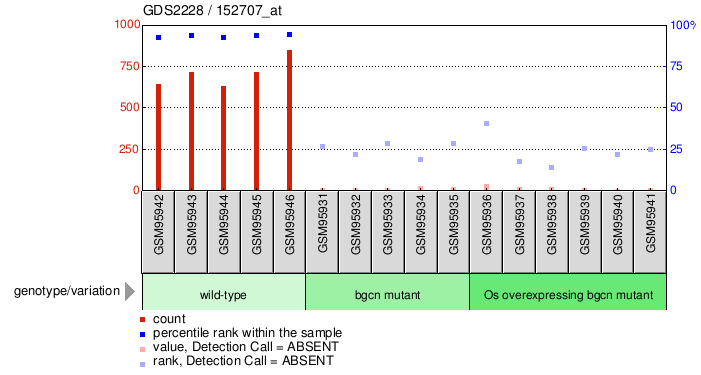 Gene Expression Profile