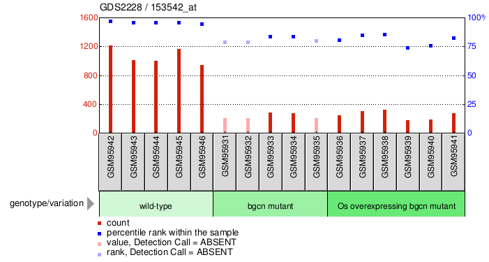 Gene Expression Profile