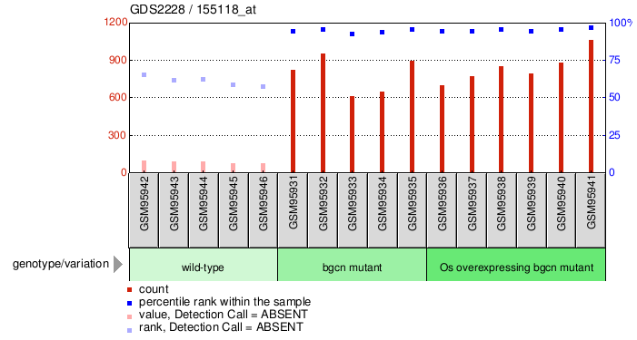 Gene Expression Profile