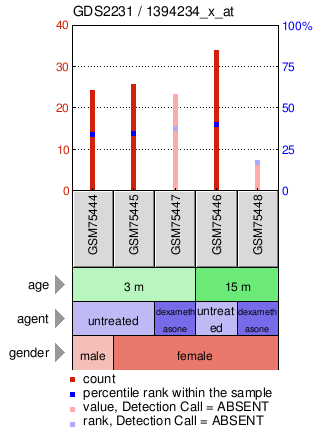 Gene Expression Profile