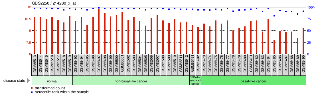 Gene Expression Profile