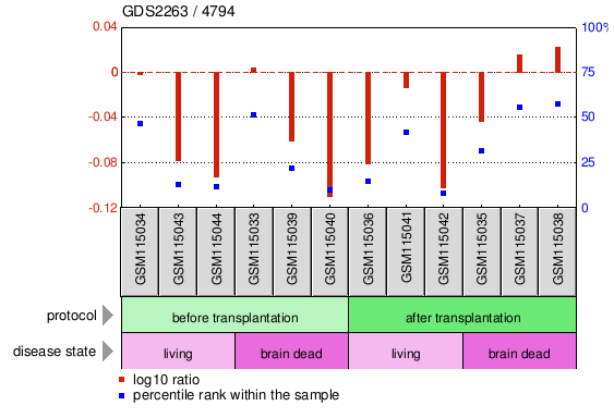 Gene Expression Profile