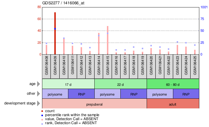 Gene Expression Profile