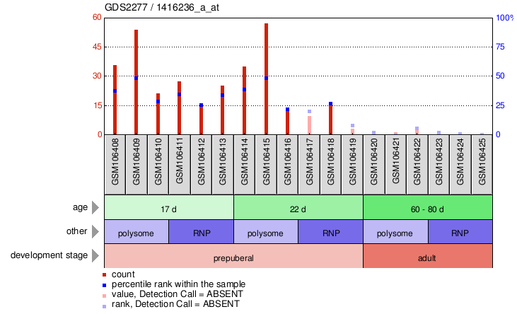 Gene Expression Profile