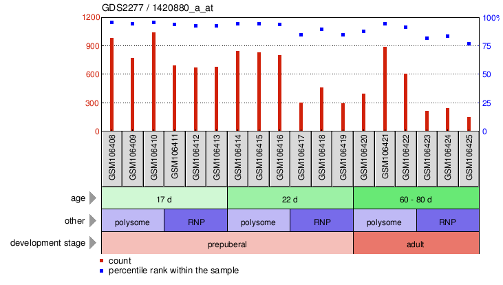 Gene Expression Profile