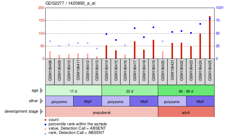 Gene Expression Profile