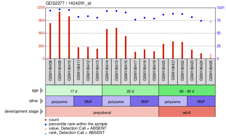 Gene Expression Profile