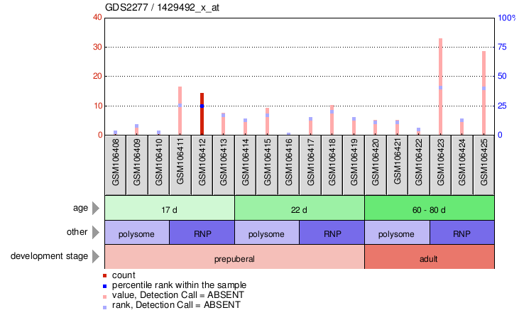 Gene Expression Profile