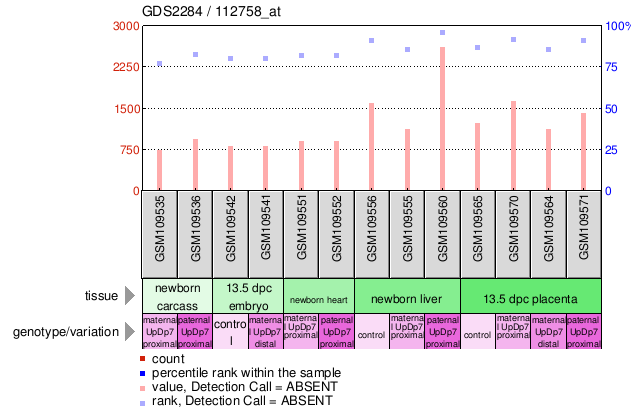 Gene Expression Profile