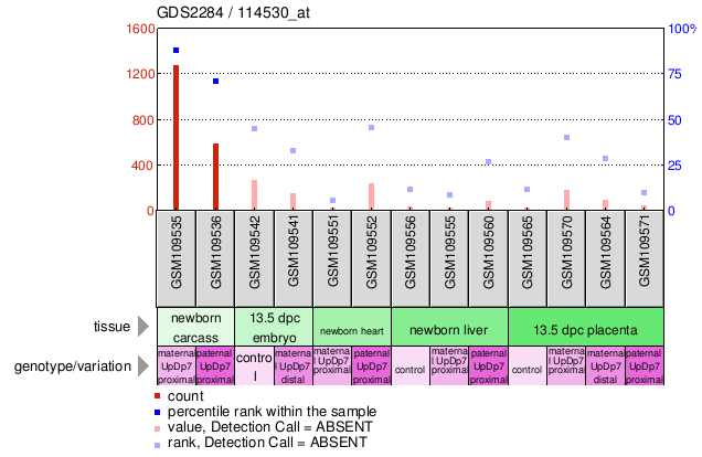 Gene Expression Profile