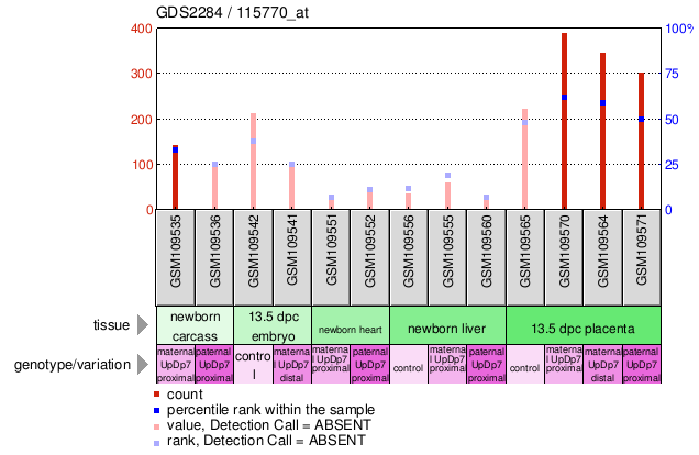 Gene Expression Profile