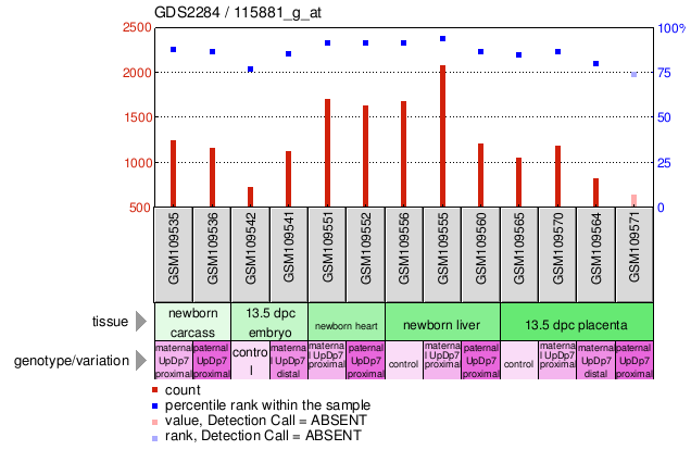 Gene Expression Profile