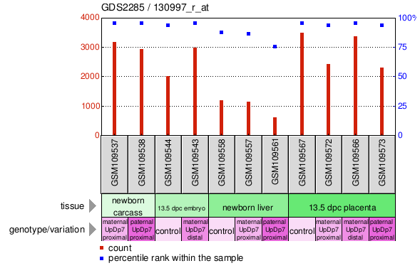 Gene Expression Profile