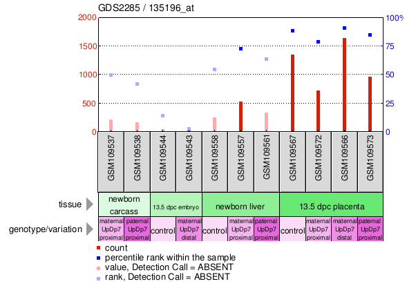 Gene Expression Profile