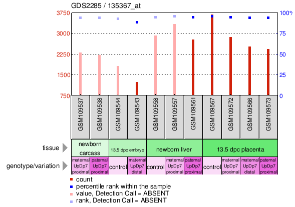 Gene Expression Profile