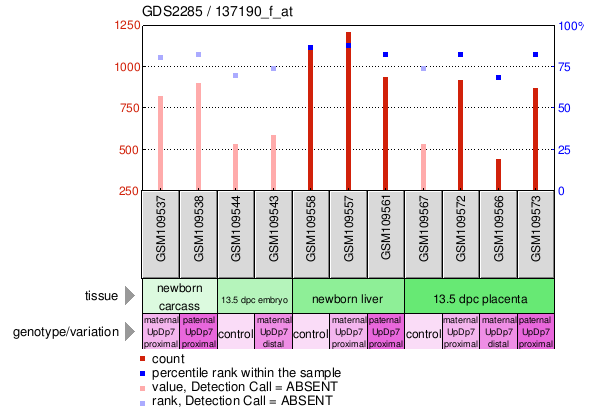 Gene Expression Profile