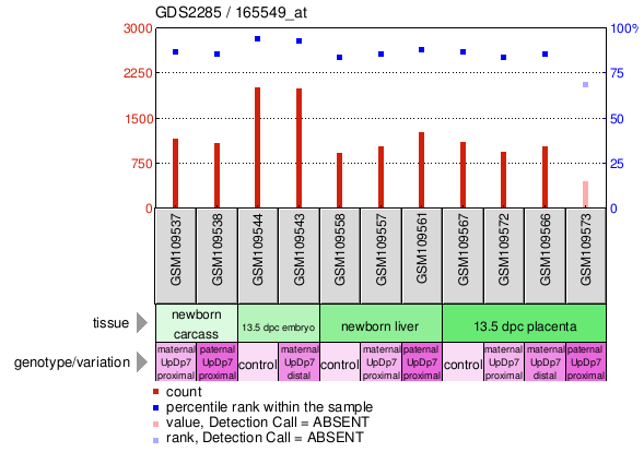 Gene Expression Profile