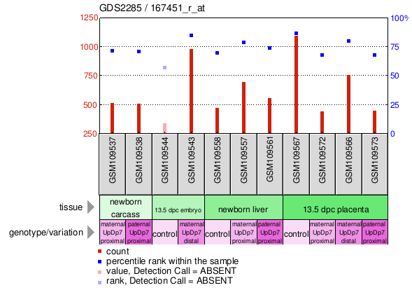 Gene Expression Profile