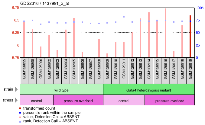 Gene Expression Profile