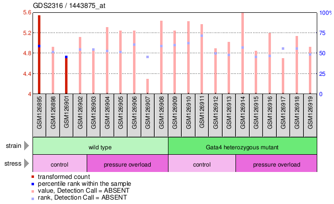 Gene Expression Profile